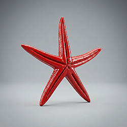 F314 Deniz Yıldızı