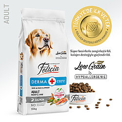 Felicia 15 Kg Yetişkin Somonlu M/Large Az Tahıllı Breed HypoAllergenic Köpek Maması