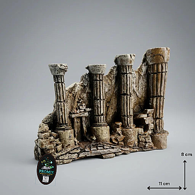 T717 Medusa Tapınağı 11x8 - 1